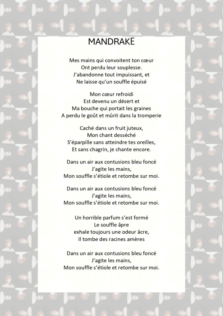 Mandrake paroles en français